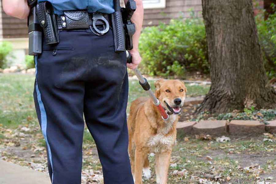 Are Animal Control Officers Considered Law Enforcement